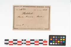 Etikett zu Holzquirl (NHMW-PRAE-003503)